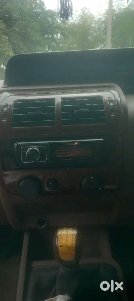 Mint Condition Bolero For Sale