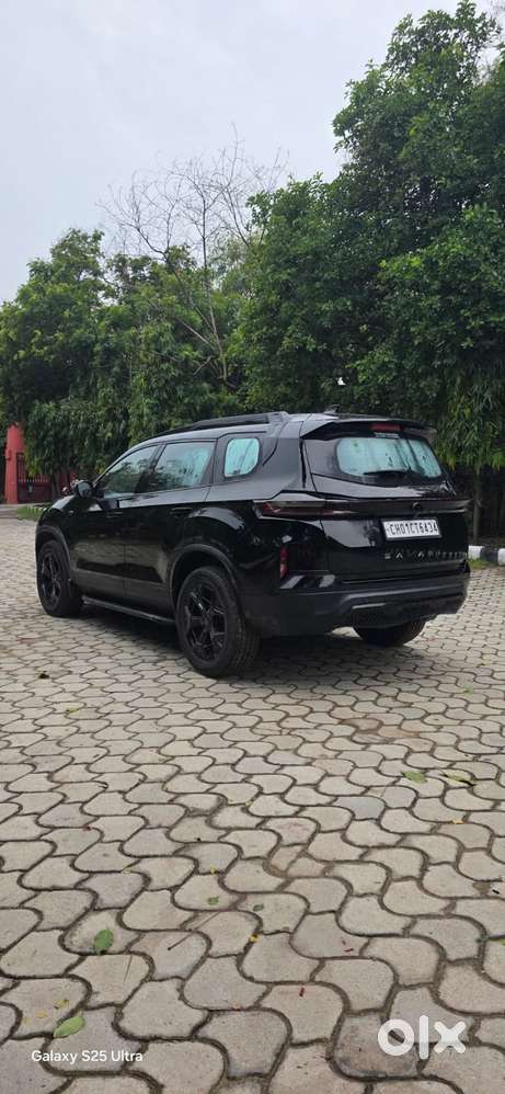 Tata Safari Accomplished Plus Dark Edition At, 2024, Diesel