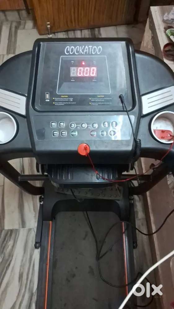 Treadmill best