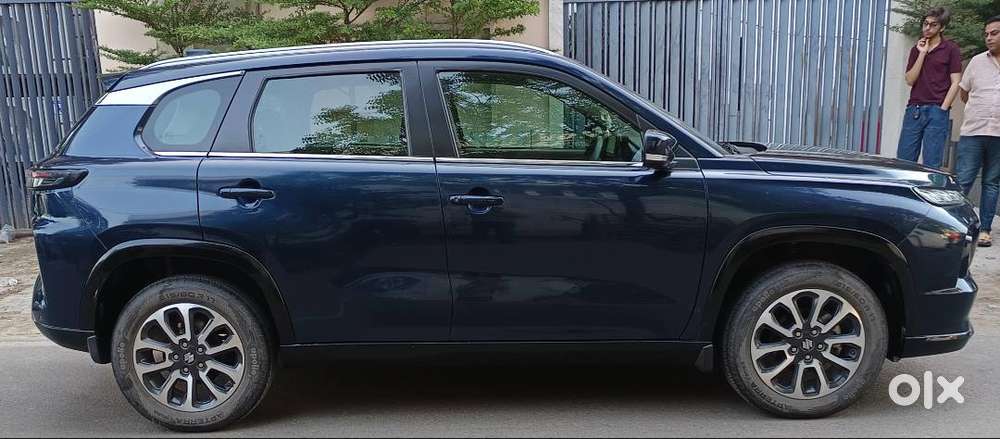 Electric+petrol