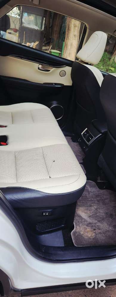 Lexus Nx Lexus-nx-300h-luxury, 2018, Petrol