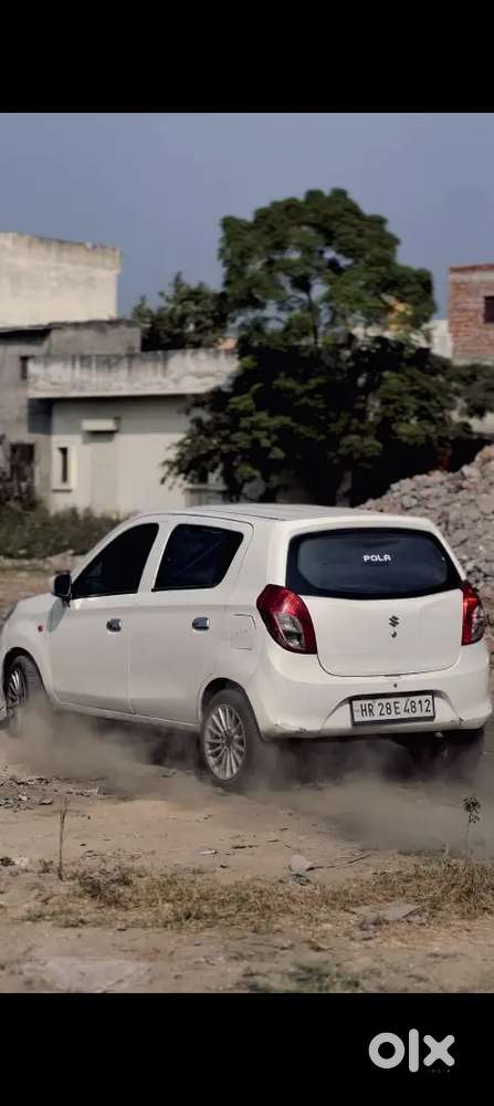 Alto 800 Brand New