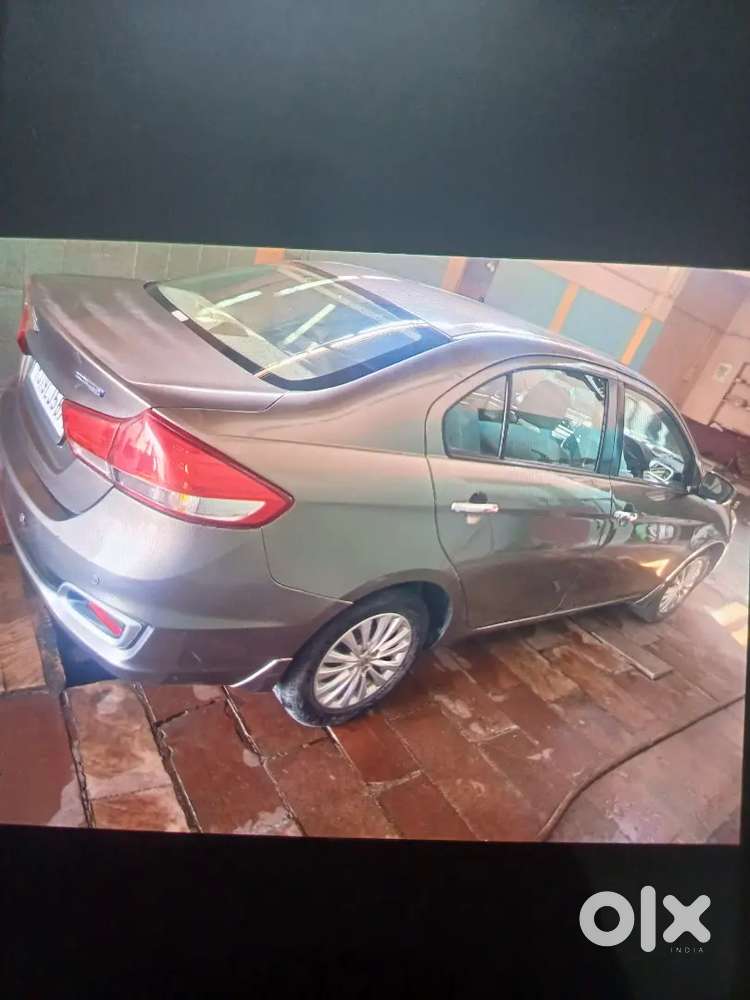 2019 Maruti Suzuki Ciaz 1st Owner