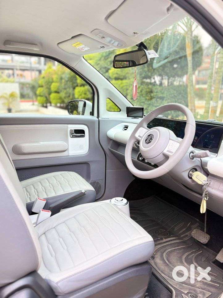 Mg Comet Ev Plush, 2025, Electric