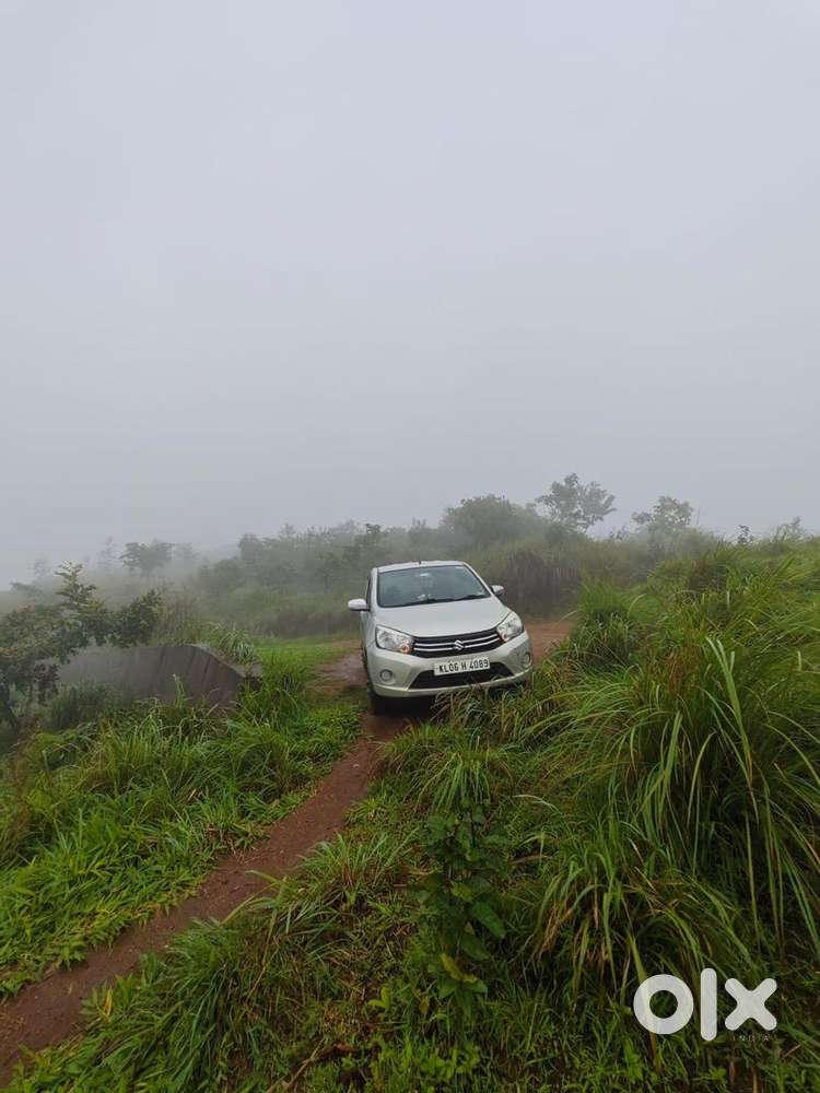 Maruti Suzuki Car 2016