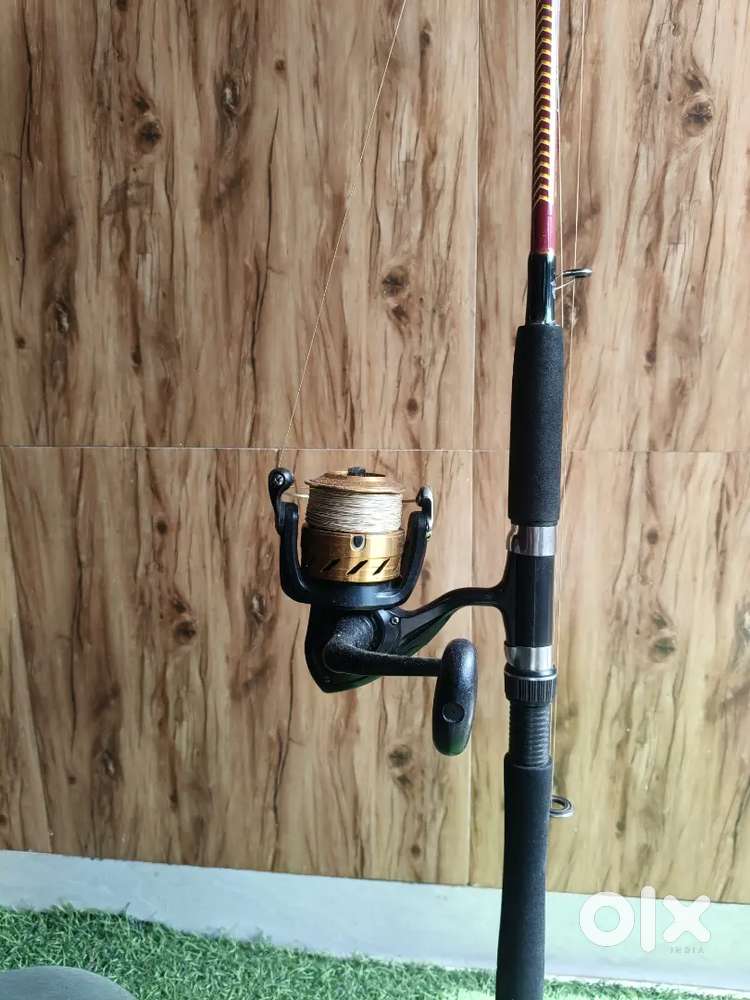 Fishing rod and reel