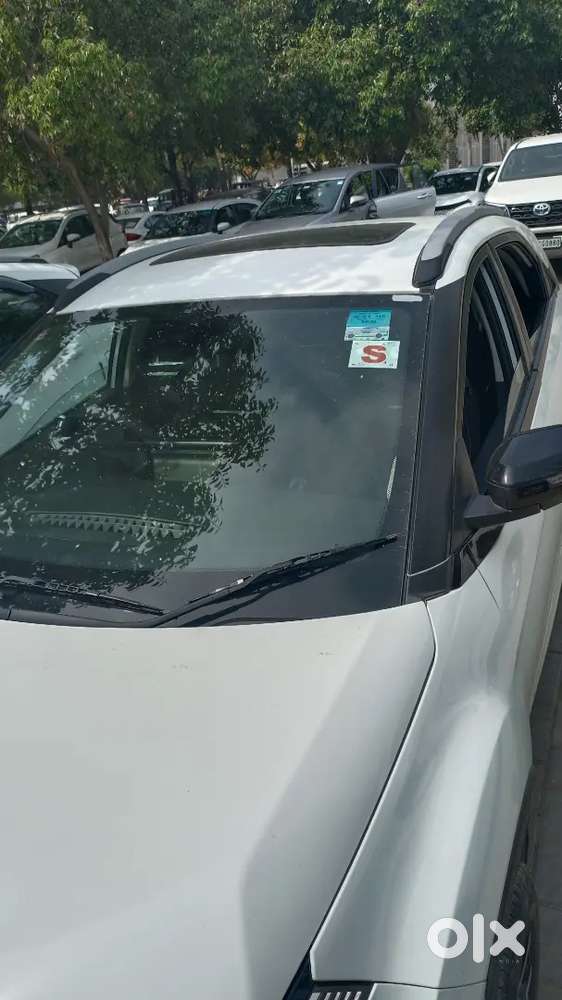 Tata Nexon 2024 Petrol Well Maintained