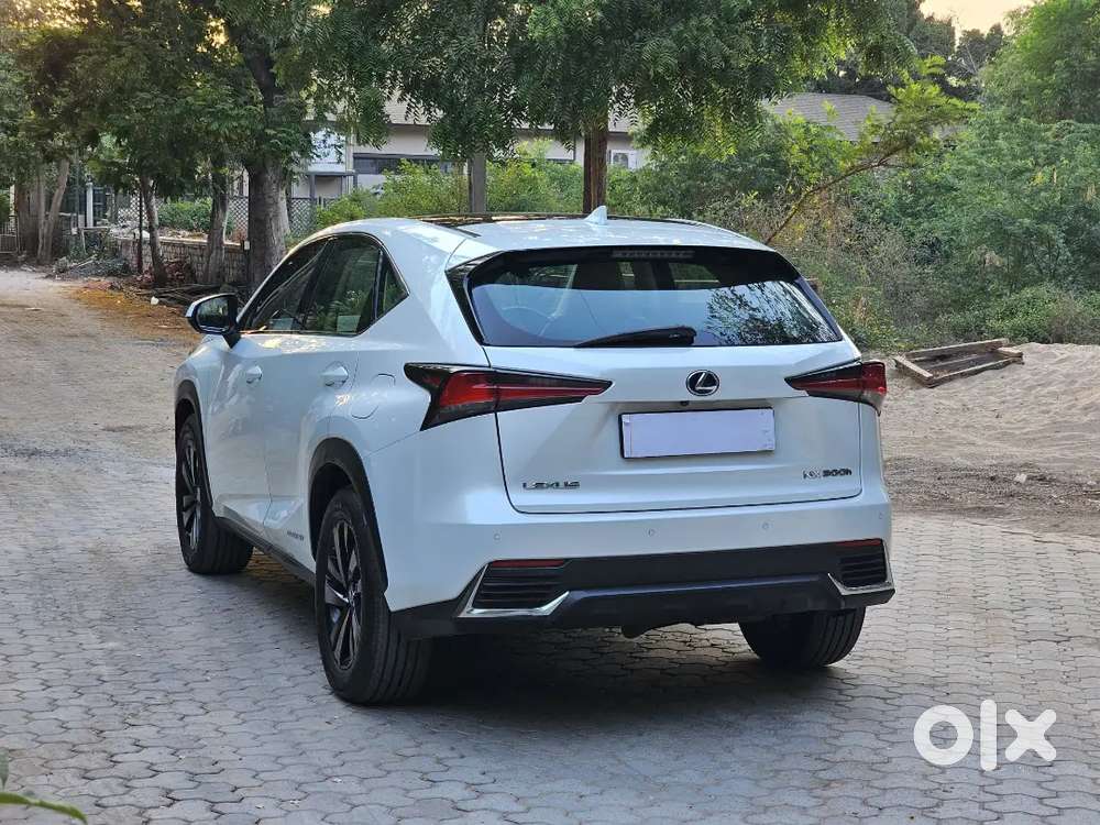 Lexus Nx 2019 Luxury Petrol