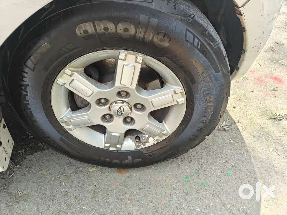 Xylo White E8 M Eagle