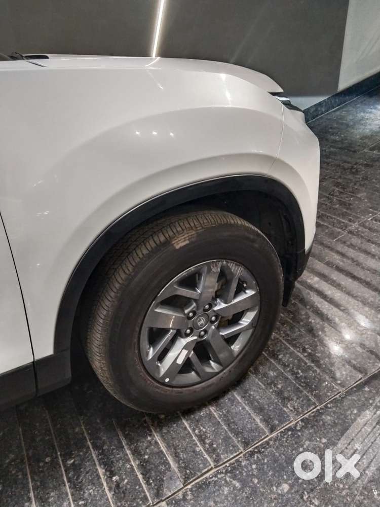 Tata Safari Pure Plus S At, 2024, Diesel