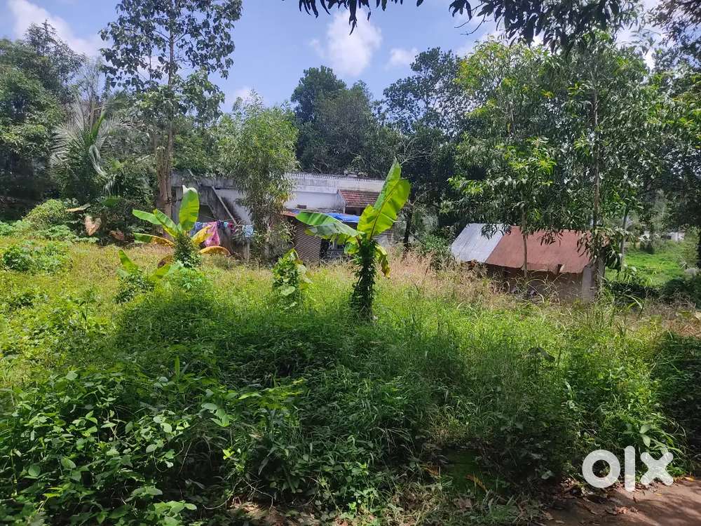 House and plot sale