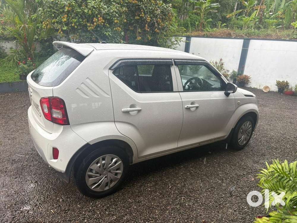 Maruti Suzuki Petrol 2024