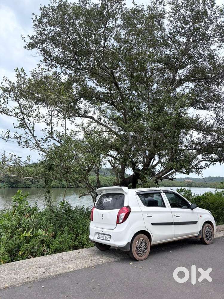 Maruti Suzuki Petrol 2017