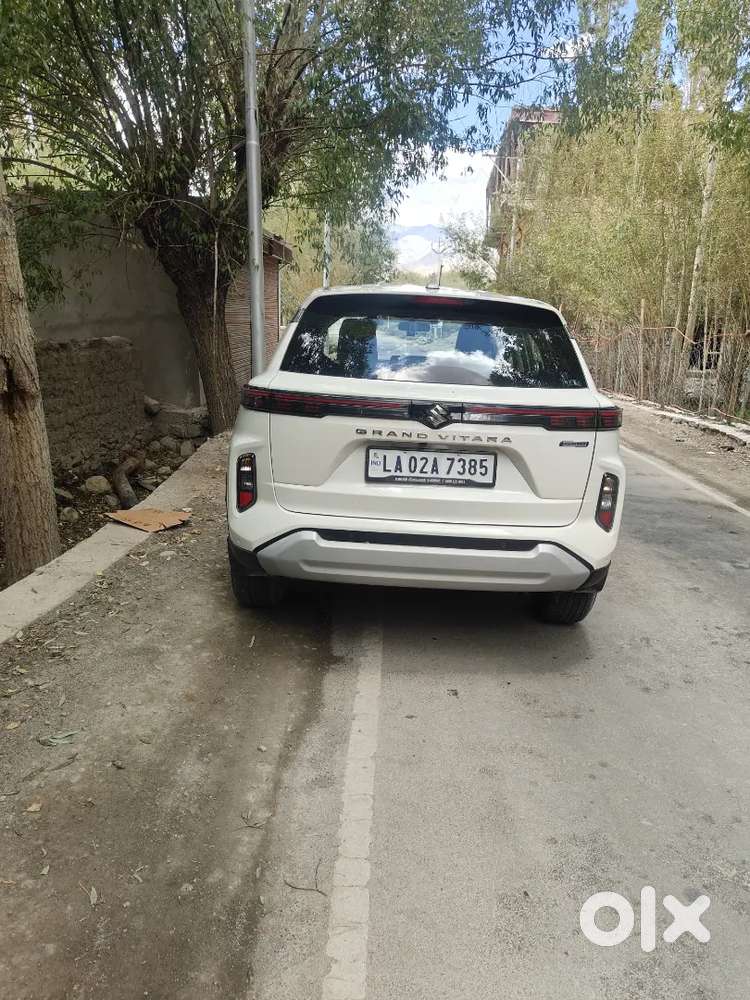 Maruti Suzuki Grand Vitara 2024 Petrol 9849 Km Driven