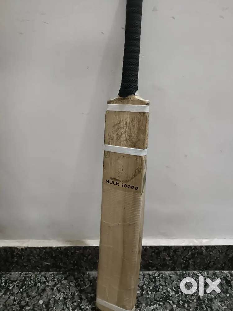 English Willow bat