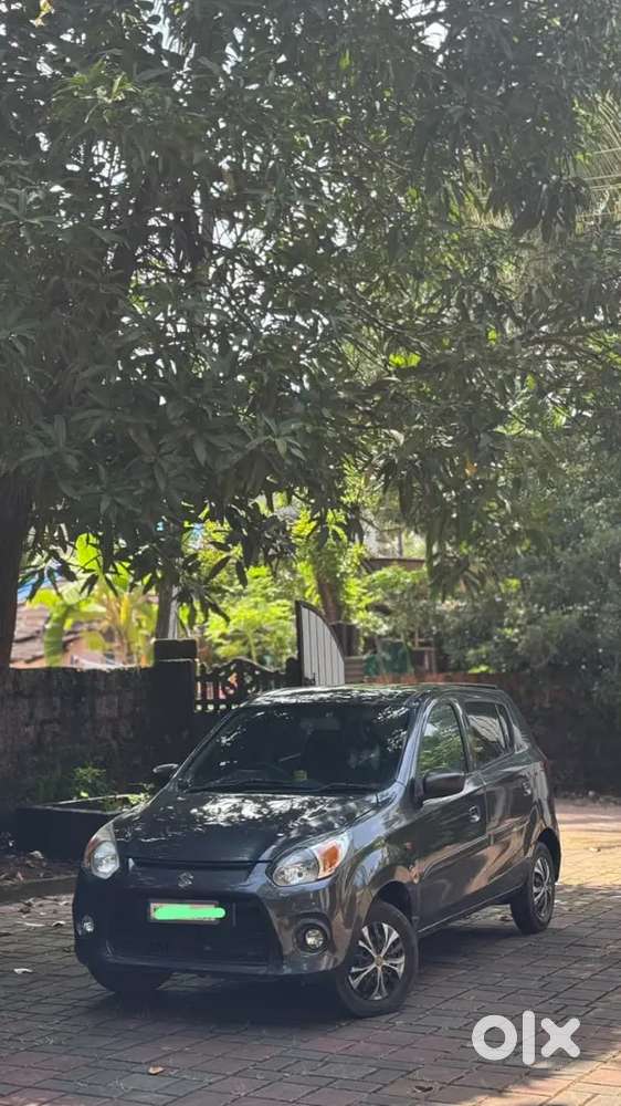 Maruti Alto 800 Vxi 2019