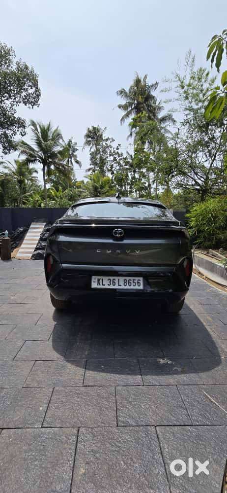 Tata Curvv 2025