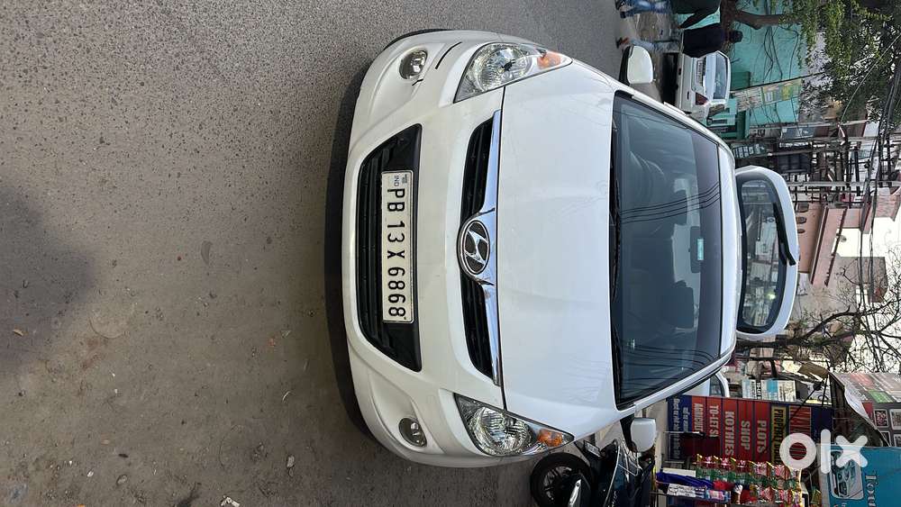 2010 Model