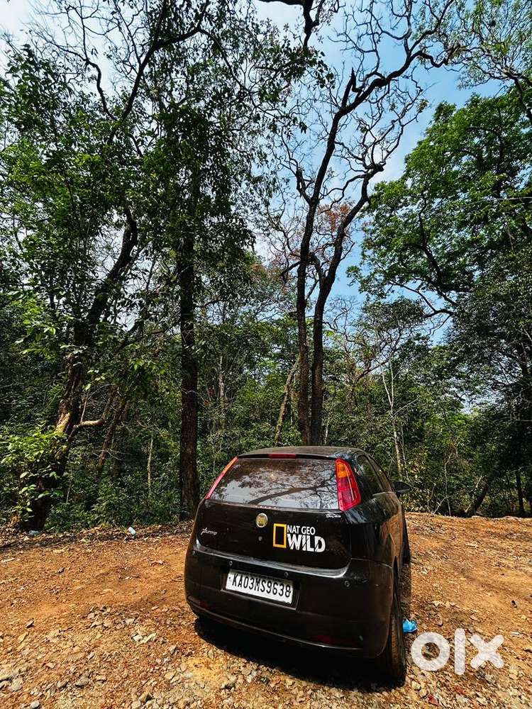 Fiat Grande Punto 2014 Diesel Well Maintained