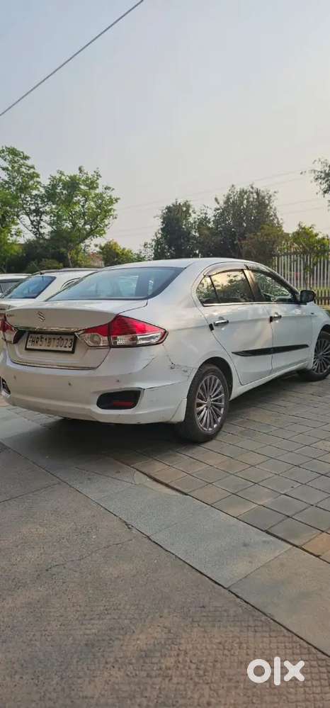 Maruti Suzuki Ciaz Alpha [ Top Model ] Available For Sale