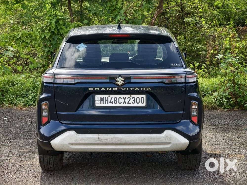 Maruti Suzuki Grand Vitara 1.5 Delta Cng, 2024, Cng & Hybrids