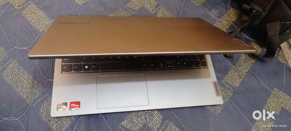 Windows 11