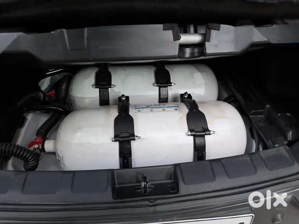 Tata Nexon Smart Plus 6mt Cng 2025