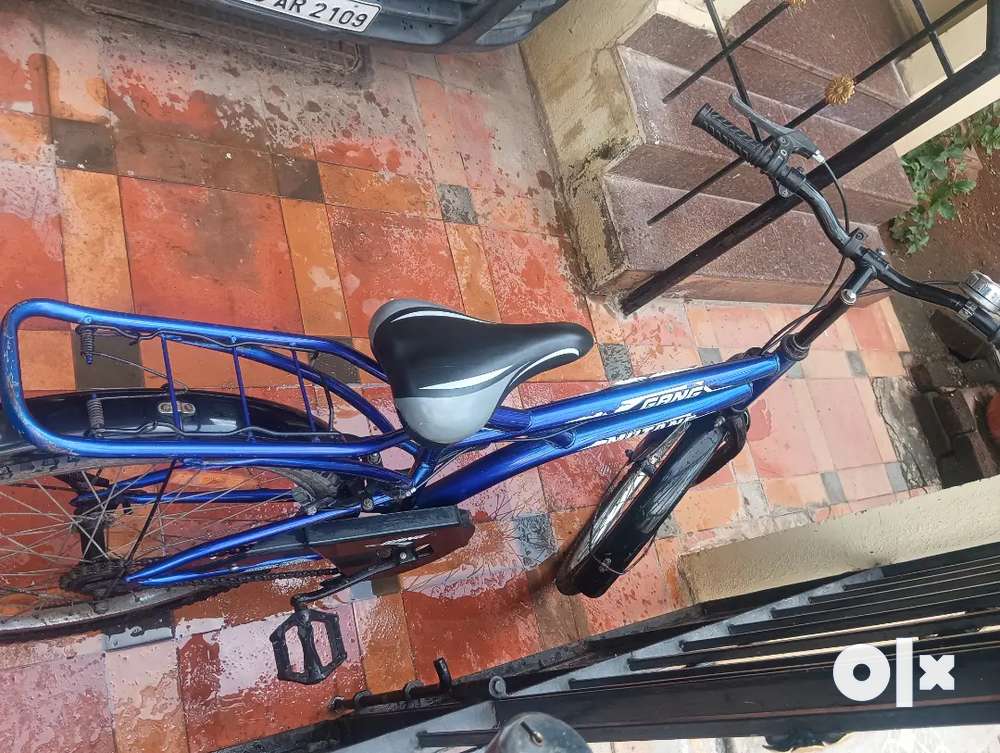 Olx cycle low price online