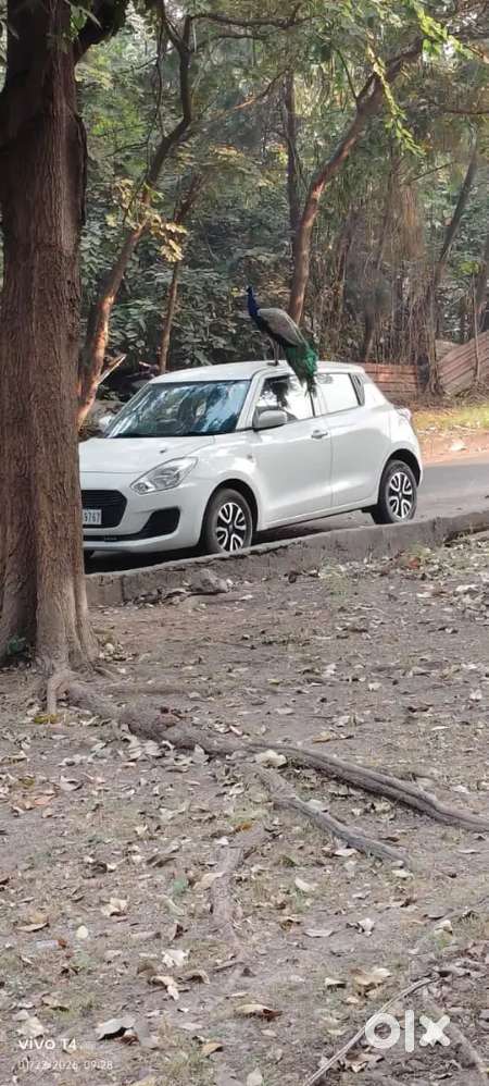 Maruti Suzuki Swift 2019 Lxi