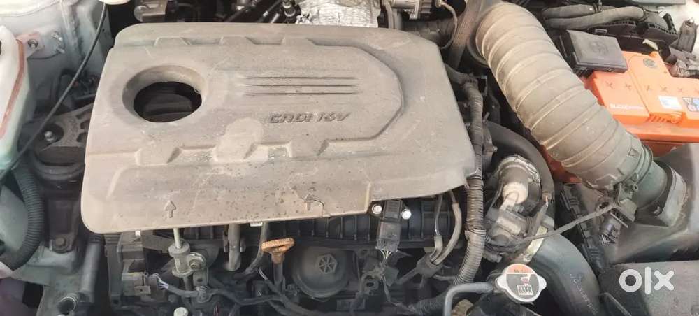 Hyundai Venue 2024 Diesel 42900 Km Driven