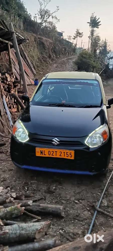 Alto Lxi 2019