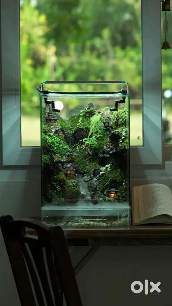 All type Terrariums