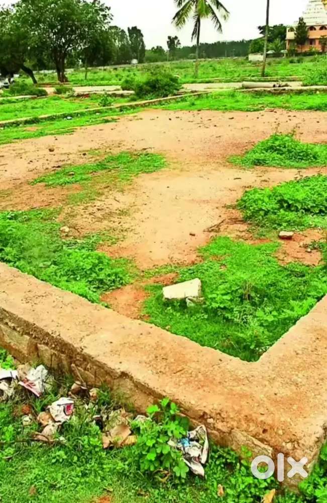 Urgent selling low price plot