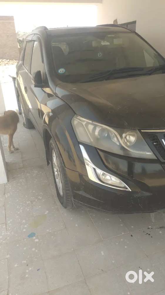 Olx Title:
2016 Xuv500 W10 Black  Rajasthan No.  Excellent Condition