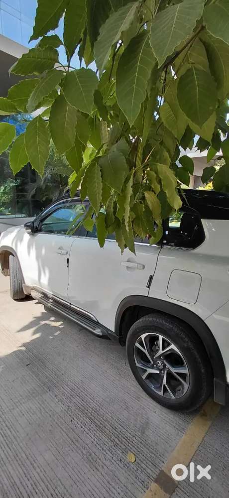 Toyota Urban Cruiser Hyryder 2024 Petrol Well Maintained