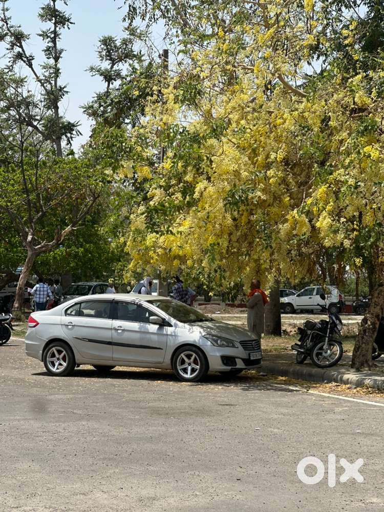 Maruti Suzuki Ciaz 2017 Good Condition