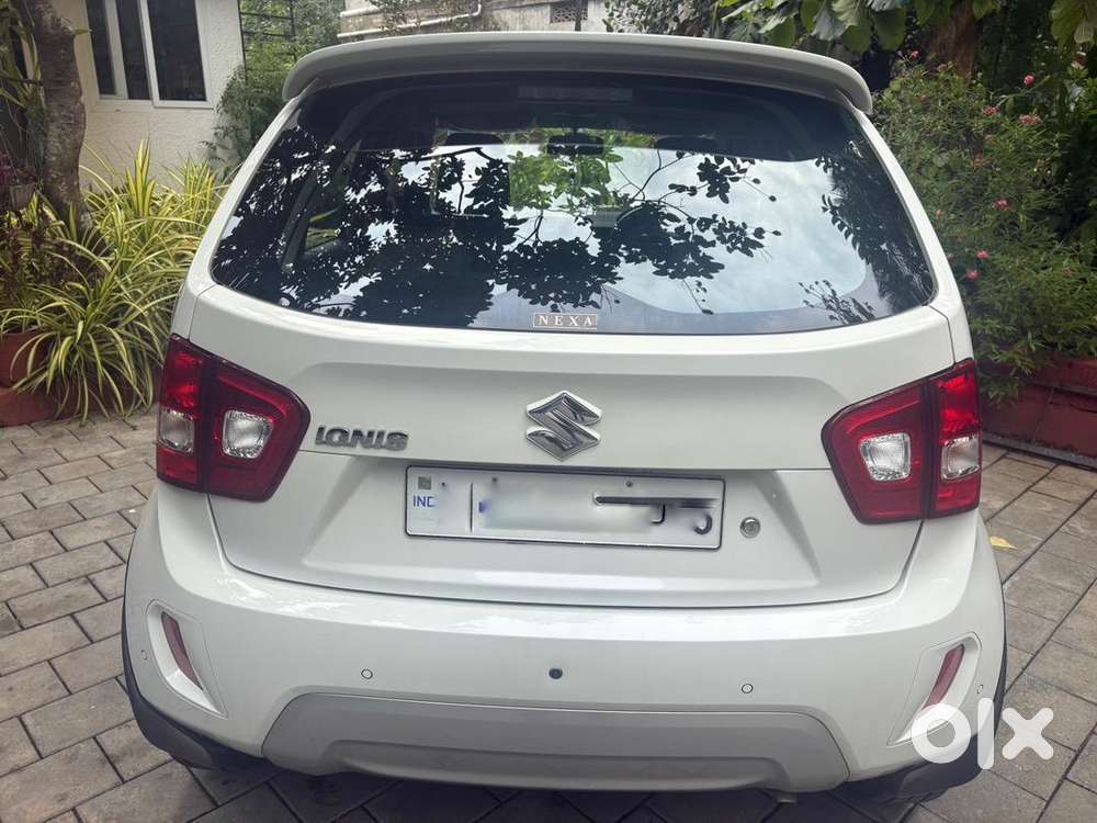 Maruti Suzuki Petrol 2024