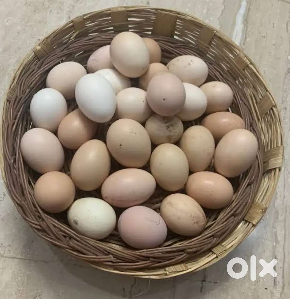 Fresh Desi Farm Eggs For Sale - Free Home Delivery