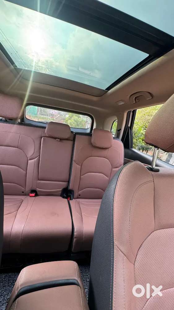 Mg Hector 2024 Petrol 14200 Km Driven