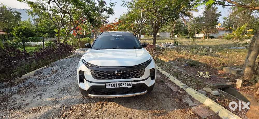 Brand New Safari Adventure X+ At With Adas