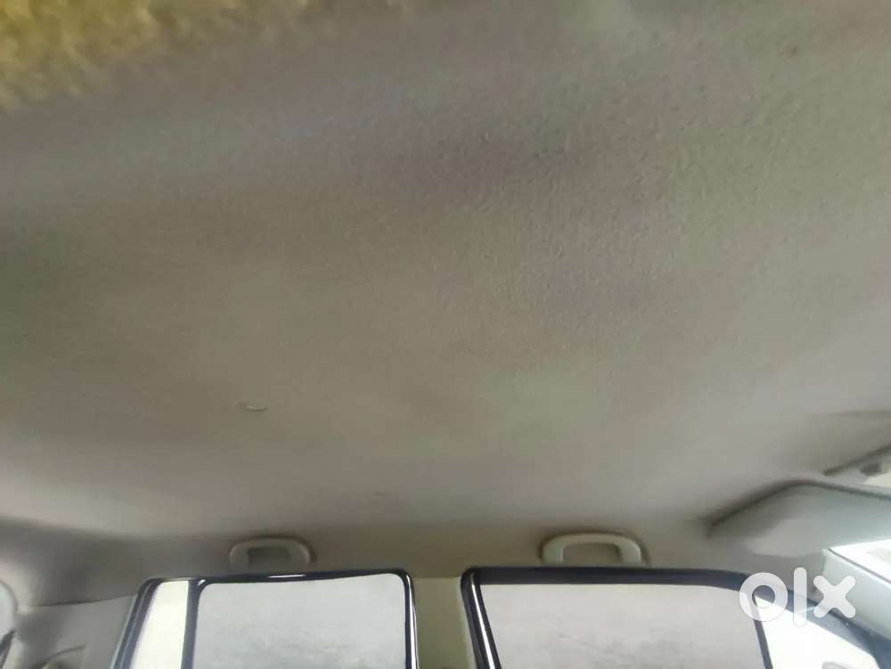 Maruti Suzuki Wagon R Company Green Cng