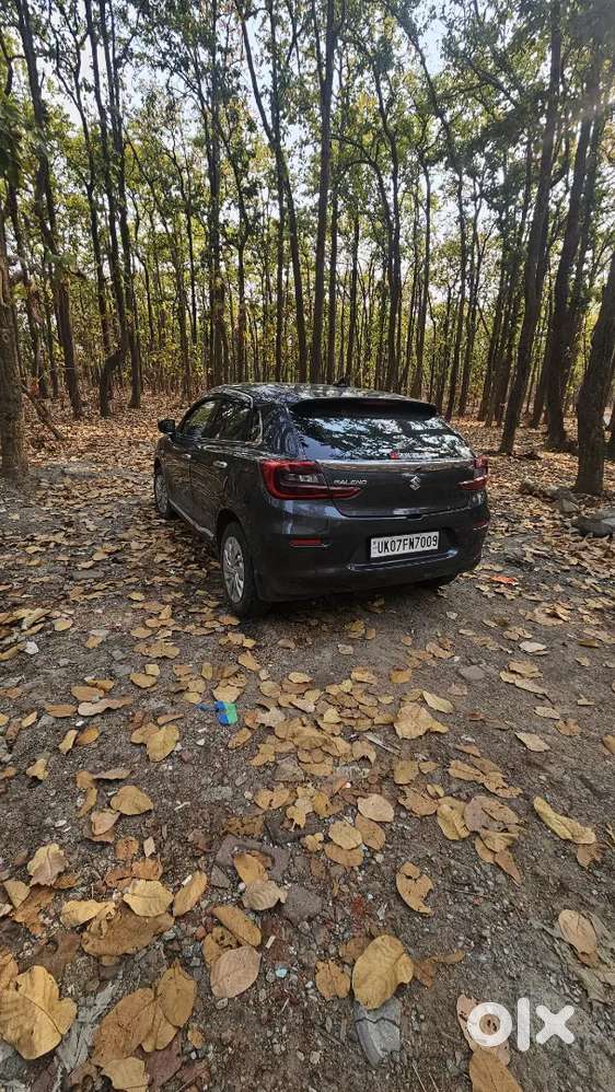 Maruti Suzuki Baleno 2023 Petrol 39000 Km Driven