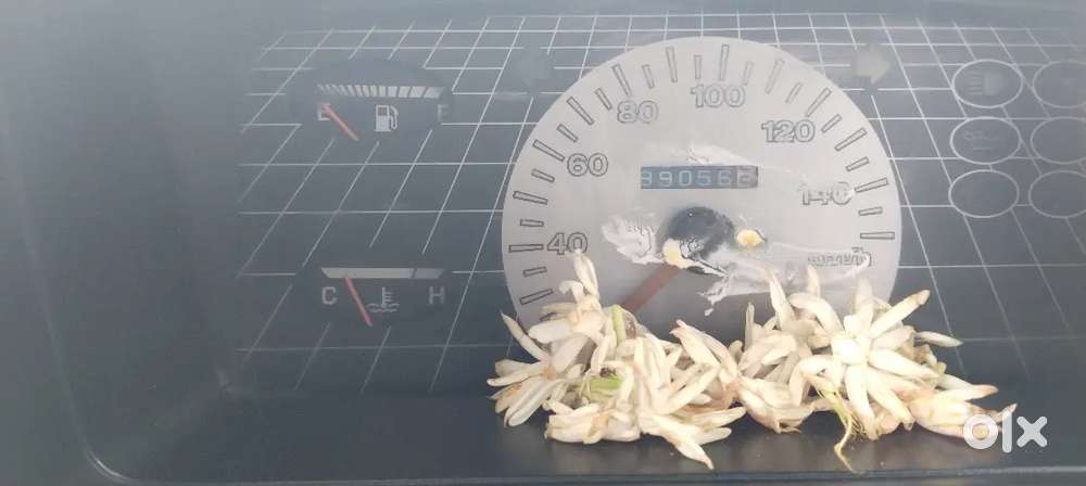 Maruti Suzuki 800 Petrol Manual 2013