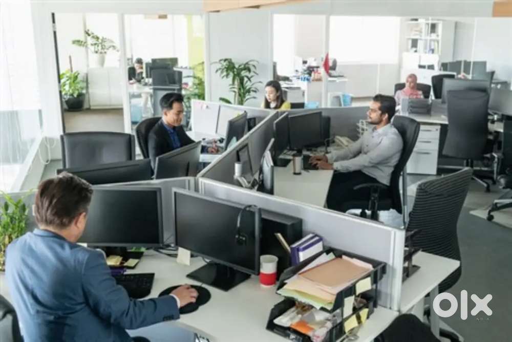 Wanted office staff male and female