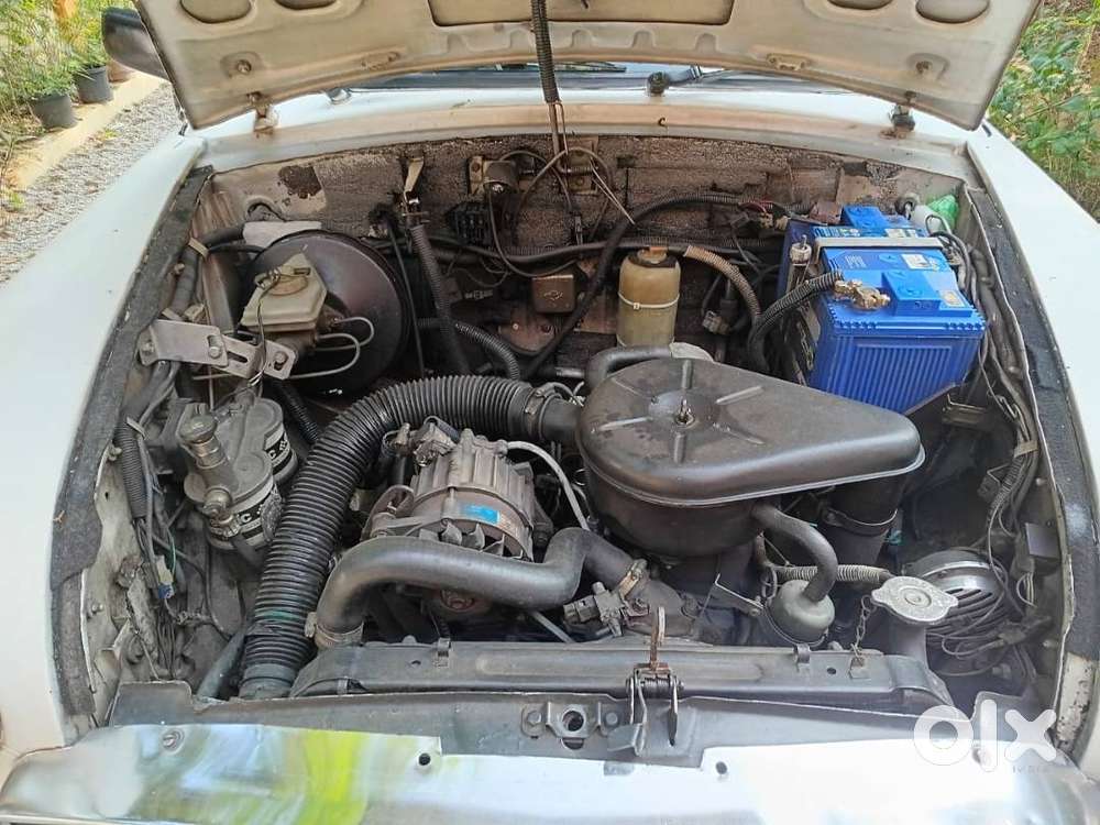 Ambassador Ambassador 2008