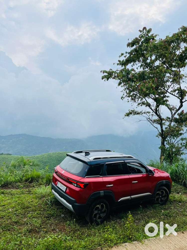 Maruti Suzuki Petrol 2024