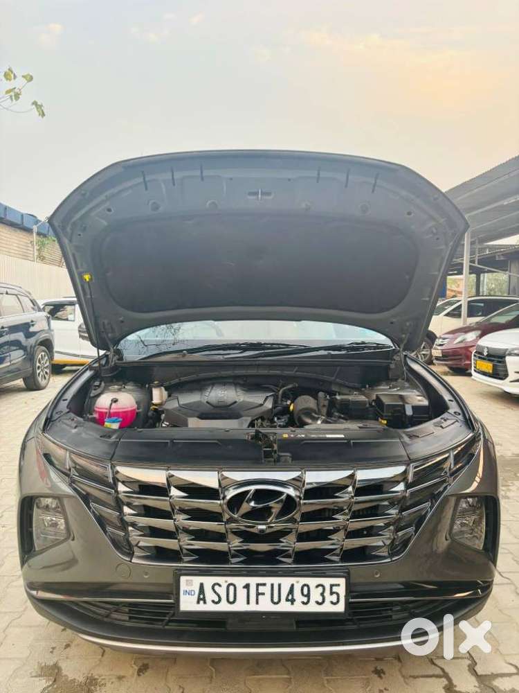 Hyundai Tucson 2.0 Signature 4wd Diesel At Dual Tone, 2024, Diesel