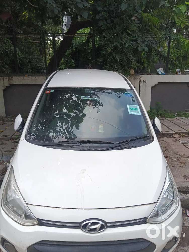 2016 Model