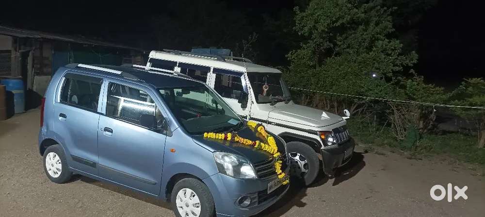 नया लेनेका