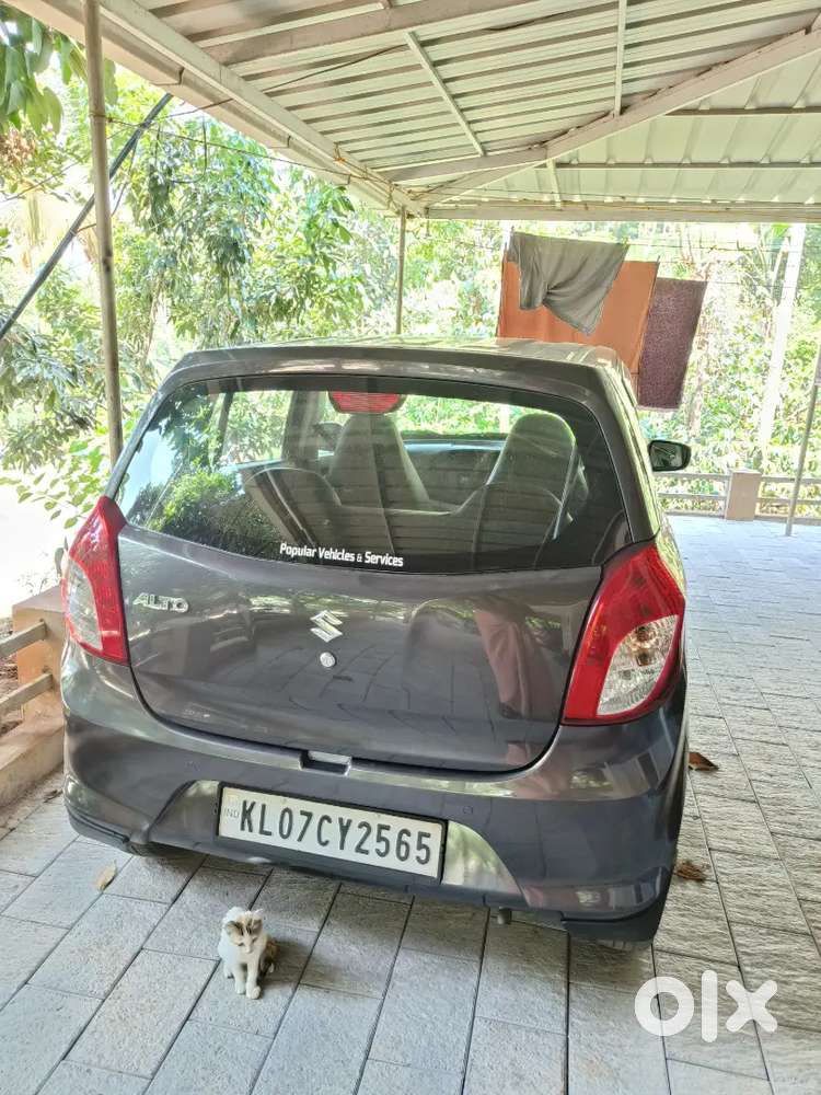 Alto 800 For Sale